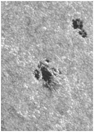 Dark sunspots and bright faculae.