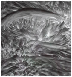 A chromospheric filament and fibrils.